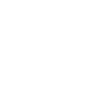 Executive Function Assessment