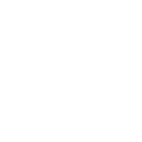 Psychoeducational Assessments