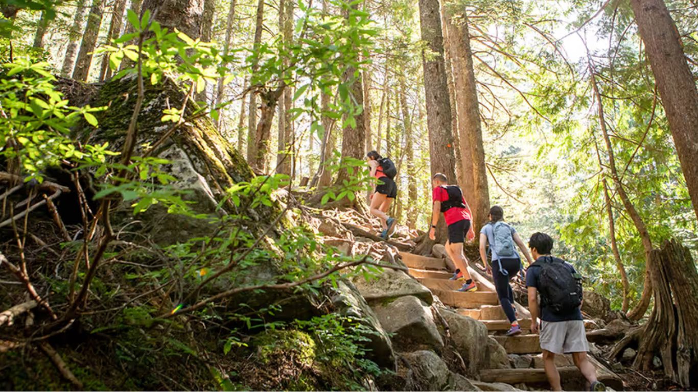 Four people in forest climbing trail